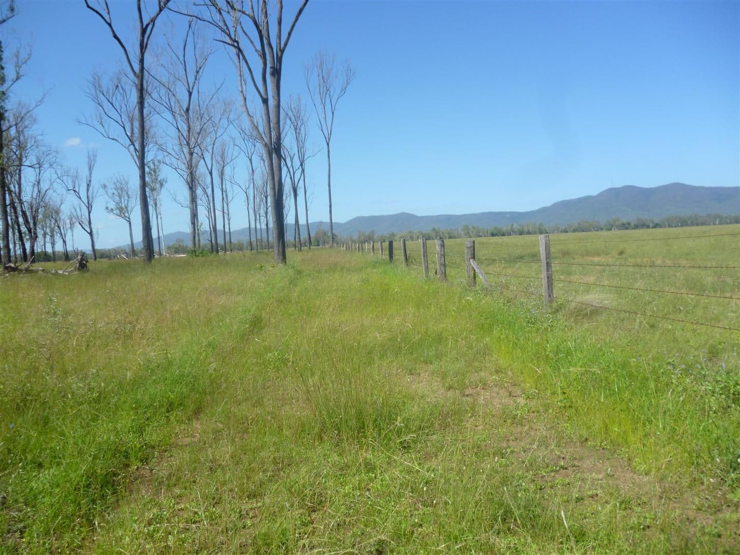 BAJOOL QLD 4699, Bajool - Thumbnail 3
