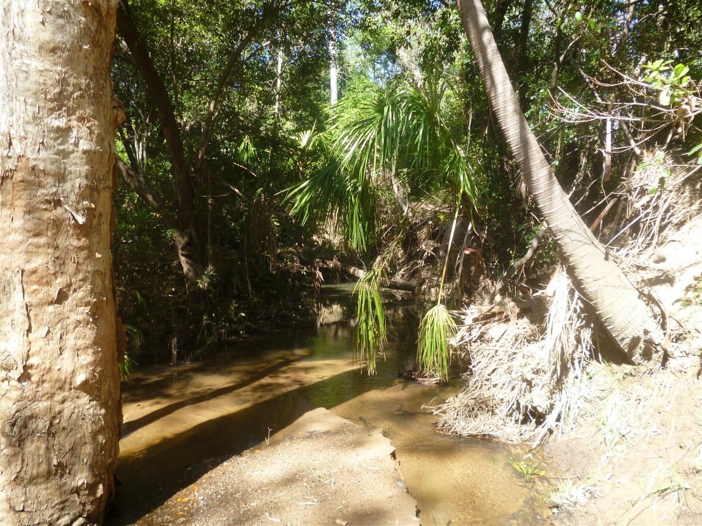 BAJOOL QLD 4699, Bajool - Thumbnail 4