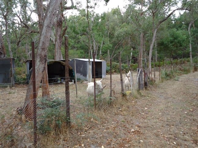 DIGBY VIC 3309, Digby - Thumbnail 4