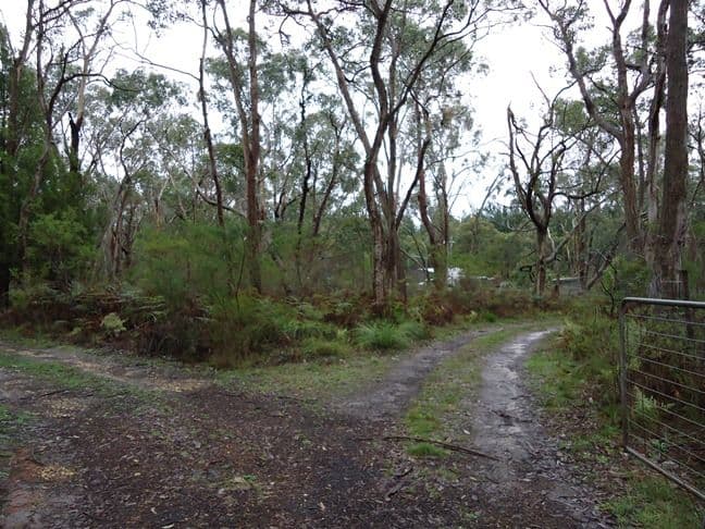 DIGBY VIC 3309, Digby - Thumbnail 5