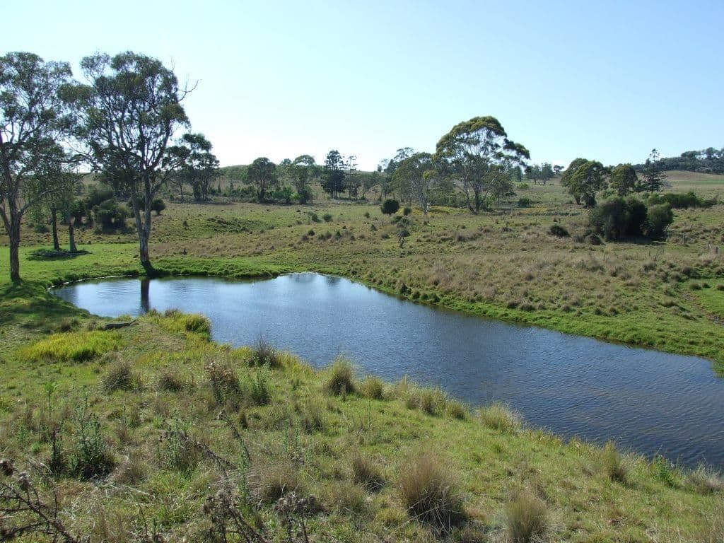 Lot 1 and 2 New England Highway, CROWS NEST QLD 4355, Crows Nest - Thumbnail 3