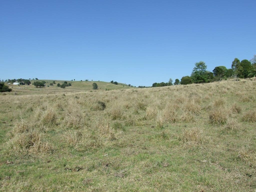 Lot 1 and 2 New England Highway, CROWS NEST QLD 4355, Crows Nest - Thumbnail 8