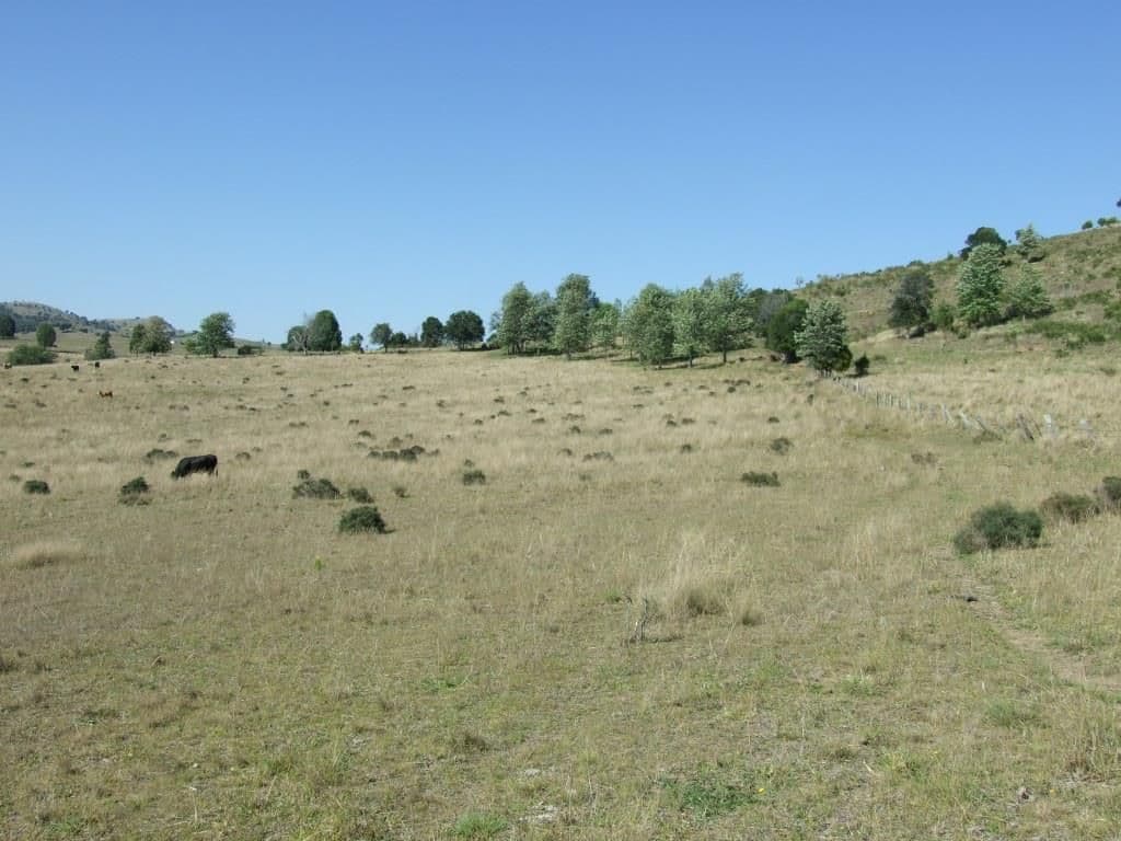 Lot 1 and 2 New England Highway, CROWS NEST QLD 4355, Crows Nest - Thumbnail 2