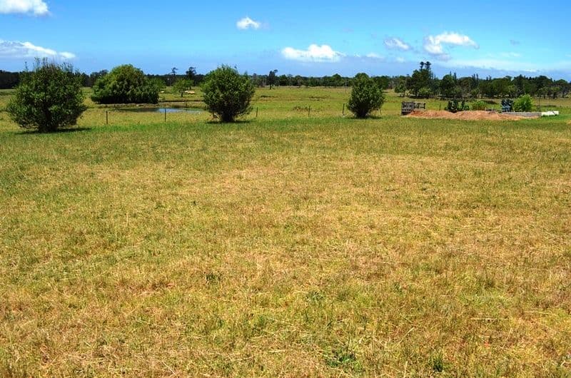 38 St Andrews Way, COOLANGATTA NSW 2535, Coolangatta - Thumbnail 8