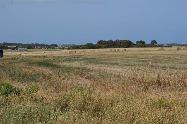 LOT 168 Padbury Road, BOOKARA WA 6525, Bookara - Image 1