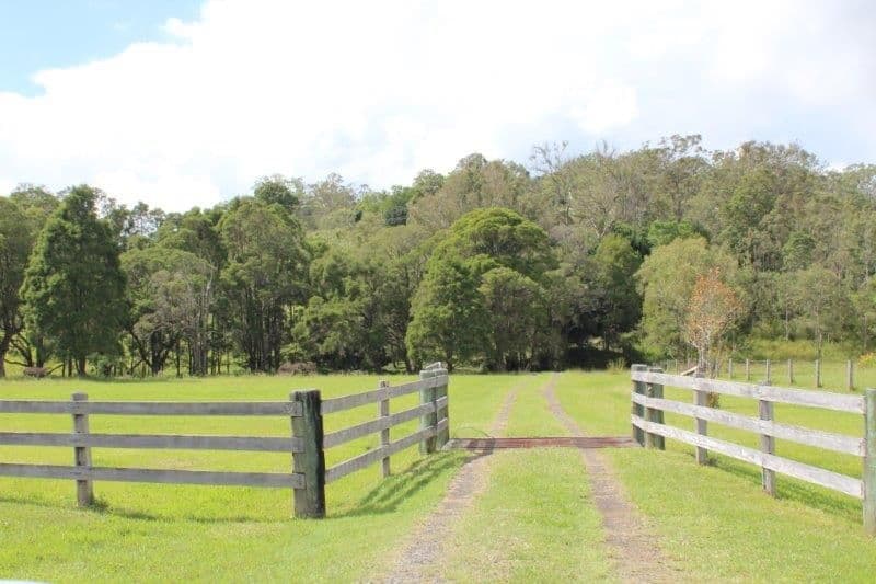 19 Chittick Access, SOUTH GUNDURIMBA NSW 2480, South Gundurimba - Thumbnail 4