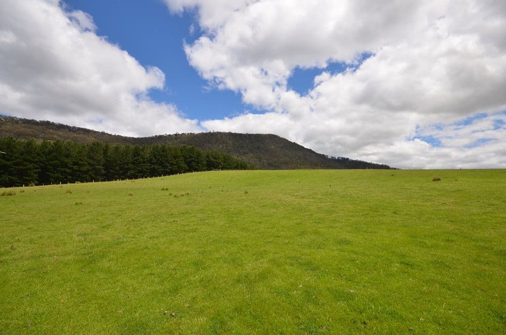 165 Pellets Lane, MOUNT LONARCH VIC 3468, Mount Lonarch - Thumbnail 6