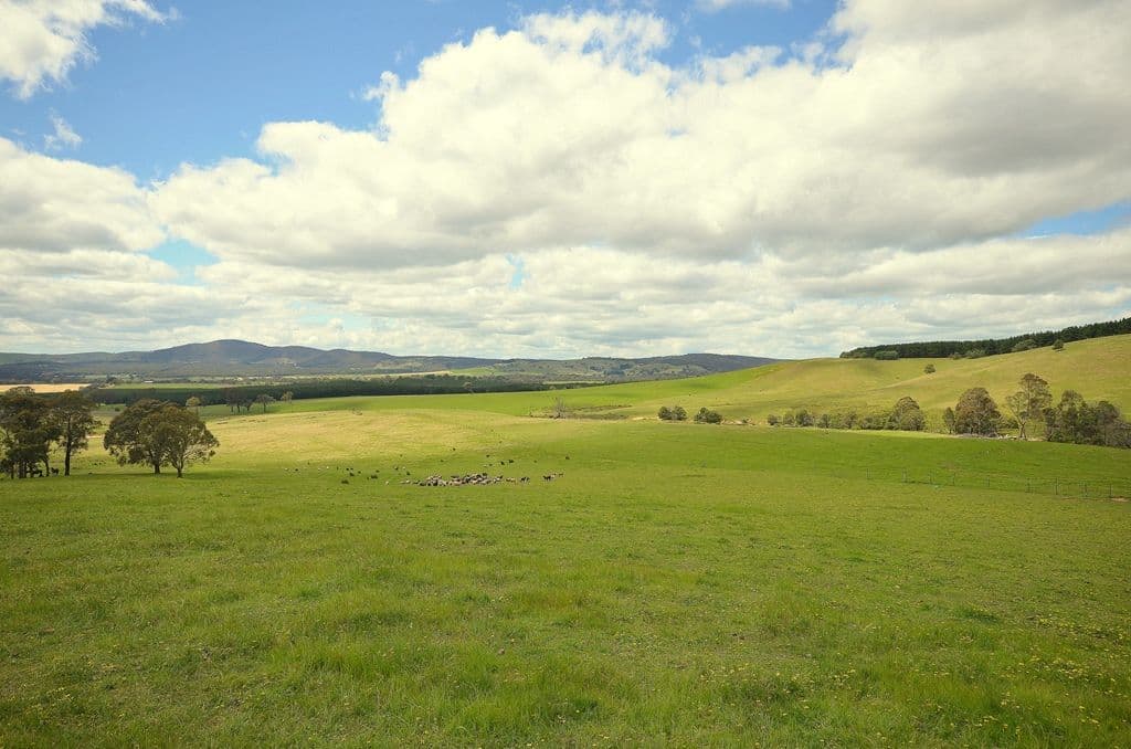 165 Pellets Lane, MOUNT LONARCH VIC 3468, Mount Lonarch - Image 1