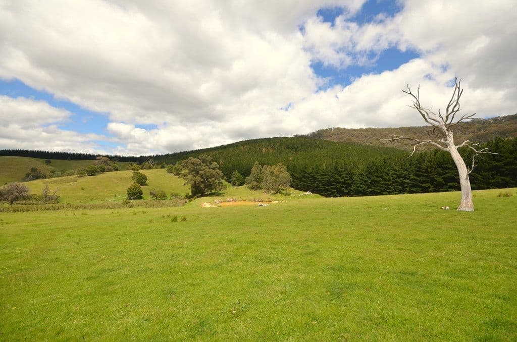 165 Pellets Lane, MOUNT LONARCH VIC 3468, Mount Lonarch - Thumbnail 2