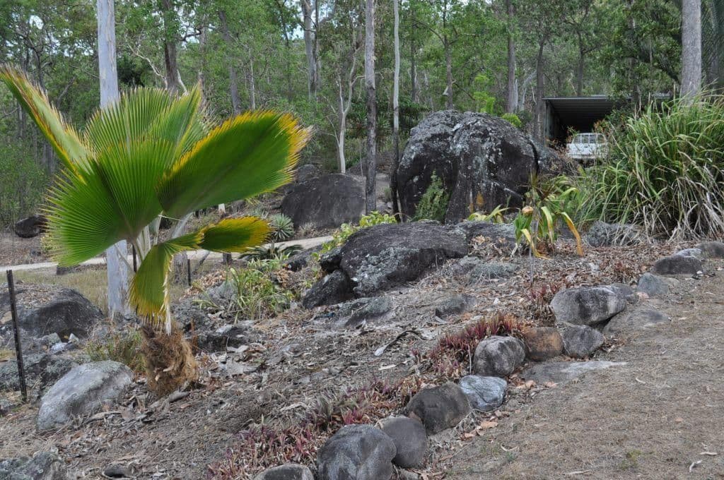 Lot 13 Trueman-Depot Road, PINNACLE QLD 4741, Pinnacle - Thumbnail 3