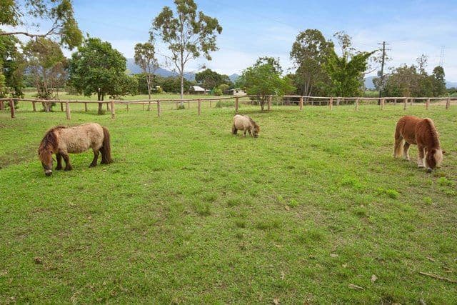 127 Redbank Road, GORDONVALE QLD 4865, Gordonvale - Thumbnail 3