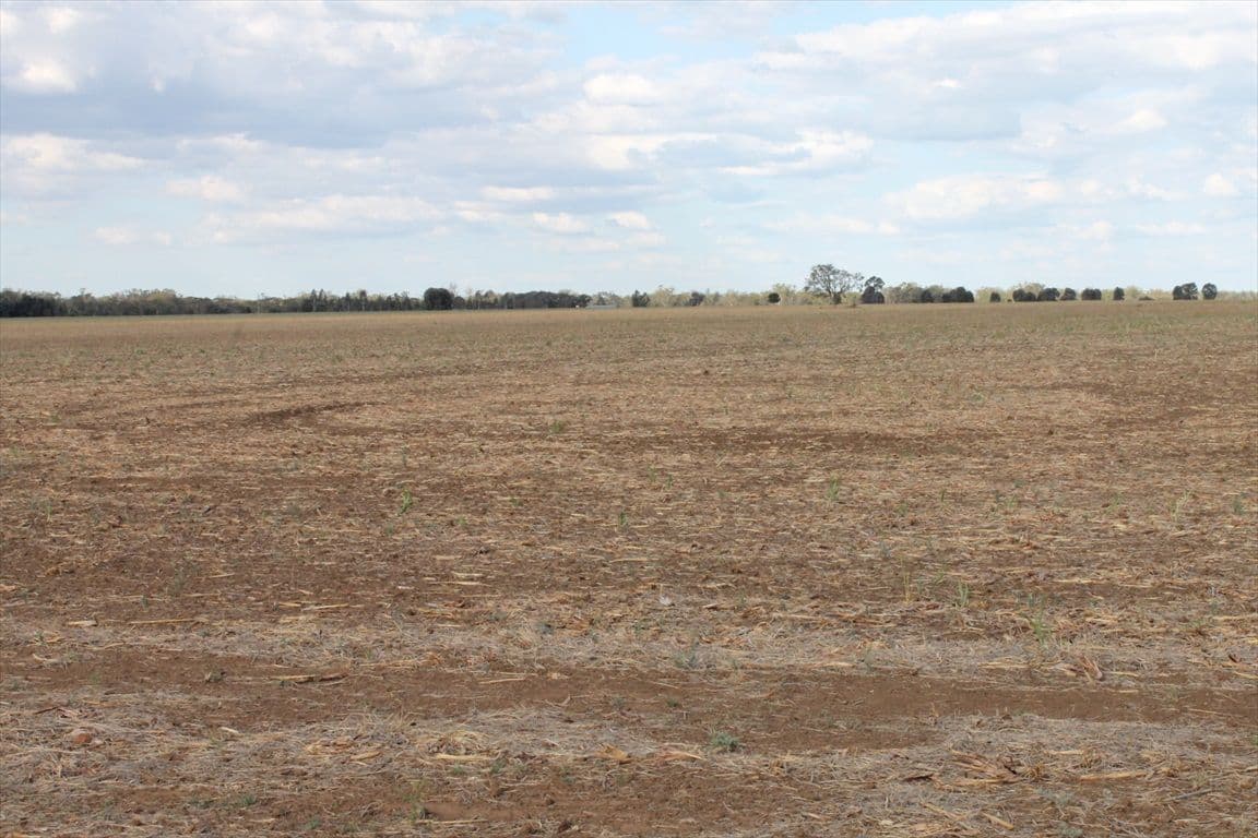 BRIGALOW QLD 4412, Brigalow - Thumbnail 6