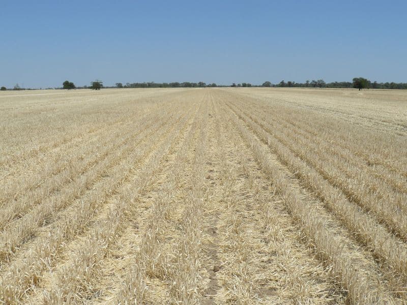GARAH NSW 2405, Garah - Image 1