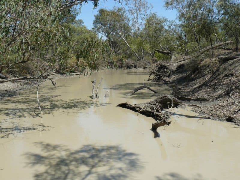 GARAH NSW 2405, Garah - Thumbnail 2