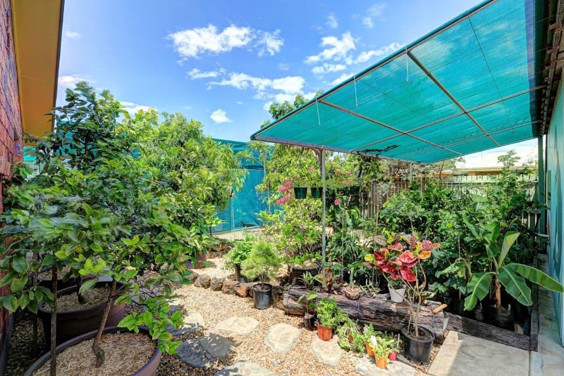 59 Searle Street, THABEBAN QLD 4670, Thabeban - Thumbnail 3