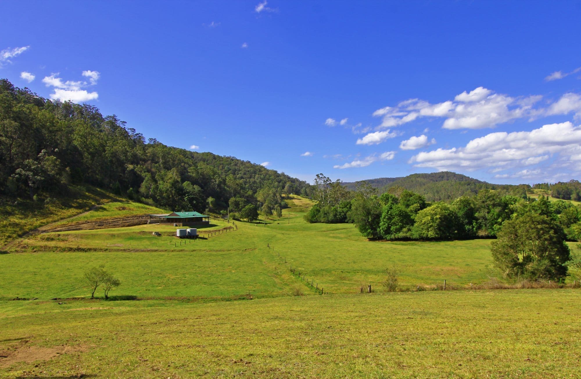 58 Priests Ridge Road, YARRAMALONG NSW 2259, Yarramalong - Image 1