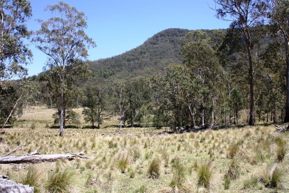 Lot 26 Top Swanfels Road, SWANFELS QLD 4371, Swanfels - Thumbnail 4