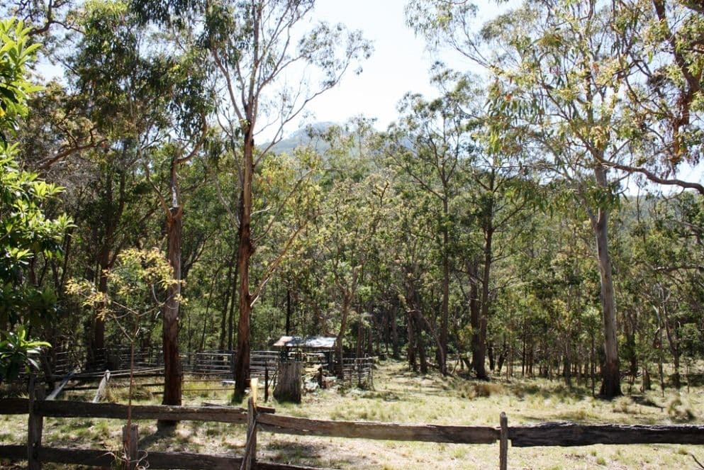 Lot 26 Top Swanfels Road, SWANFELS QLD 4371, Swanfels - Image 1