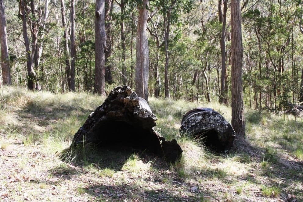 Lot 26 Top Swanfels Road, SWANFELS QLD 4371, Swanfels - Thumbnail 5