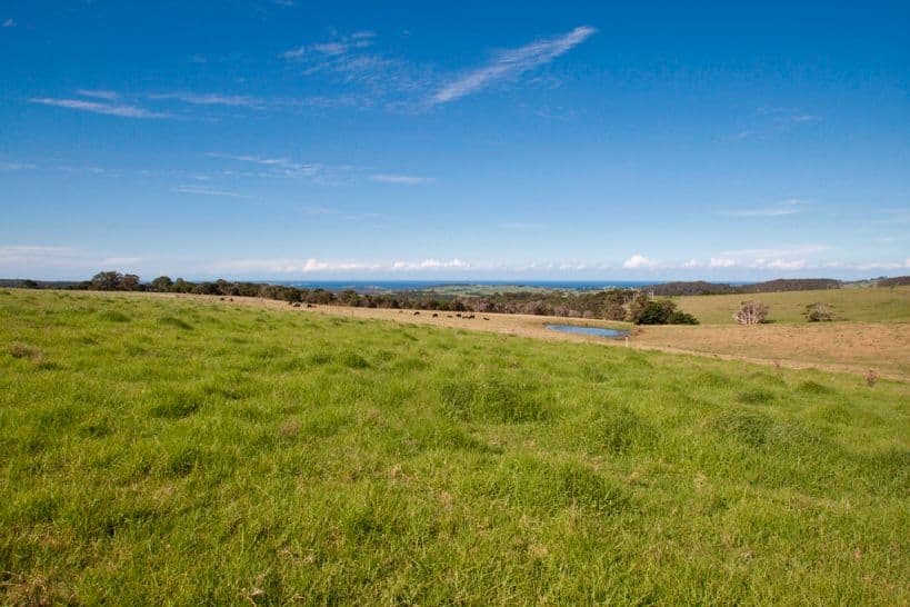 165 Wallaby Hill Road, JAMBEROO NSW 2533, Jamberoo - Thumbnail 4