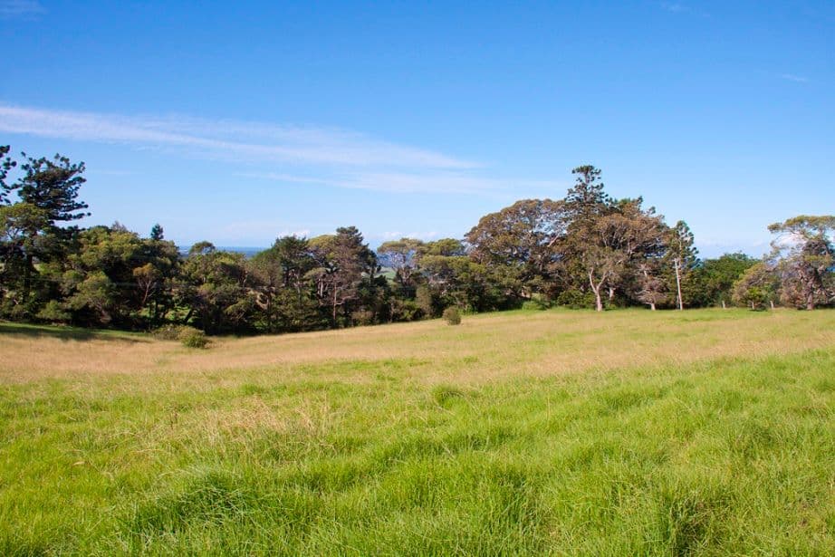 165 Wallaby Hill Road, JAMBEROO NSW 2533, Jamberoo - Thumbnail 6