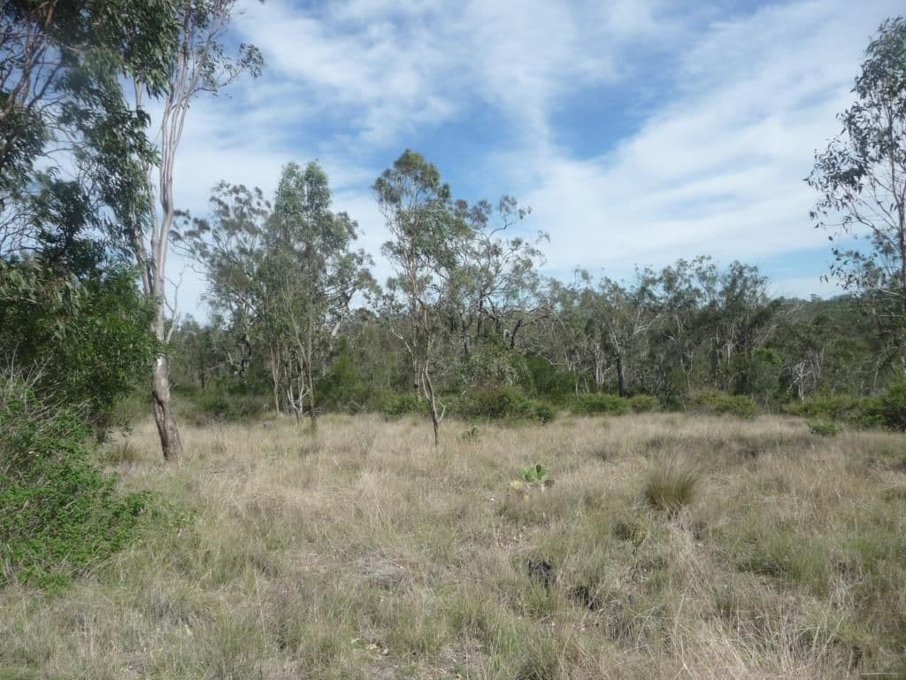 L235 Coalbank Boundary Road, HADEN QLD 4353, Haden - Thumbnail 8