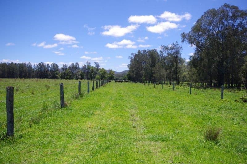 Lot 1 452 North Moto Road, TAREE NSW 2430, Anglesea - Thumbnail 4