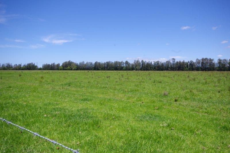 Lot 1 452 North Moto Road, TAREE NSW 2430, Anglesea - Thumbnail 5