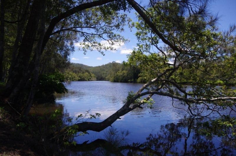 Lot 1 452 North Moto Road, TAREE NSW 2430, Anglesea - Thumbnail 8