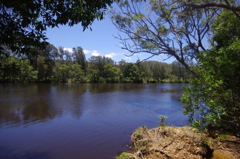 Lot 1 452 North Moto Road, TAREE NSW 2430, Anglesea - Thumbnail 3