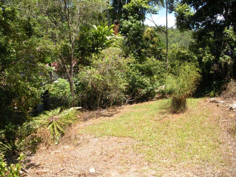1412 Numinbah Road, CHILLINGHAM NSW 2484, Chillingham - Thumbnail 8