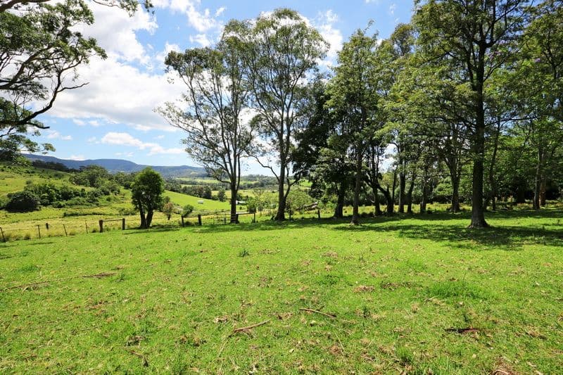 A495 Princes Highway, BROUGHTON VILLAGE NSW 2534, Broughton Village - Thumbnail 7