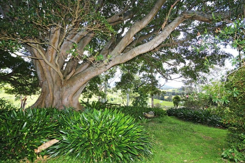 A495 Princes Highway, BROUGHTON VILLAGE NSW 2534, Broughton Village - Thumbnail 4