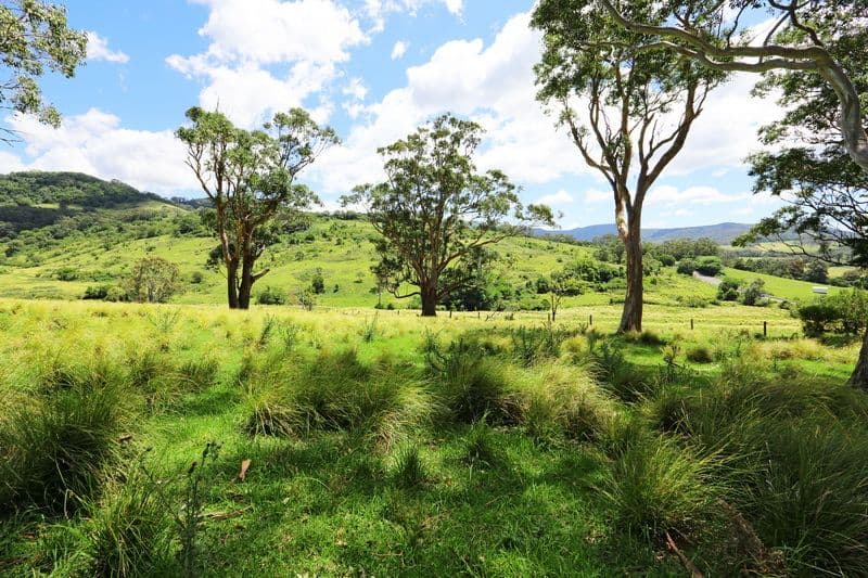 A495 Princes Highway, BROUGHTON VILLAGE NSW 2534, Broughton Village - Thumbnail 8