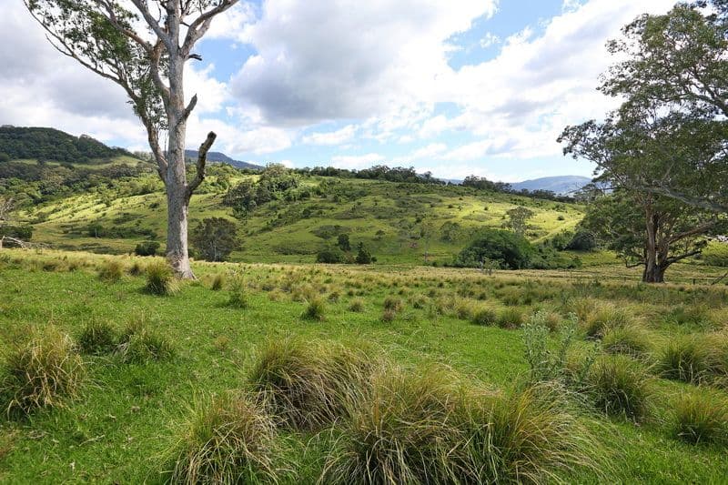 A495 Princes Highway, BROUGHTON VILLAGE NSW 2534, Broughton Village - Thumbnail 6
