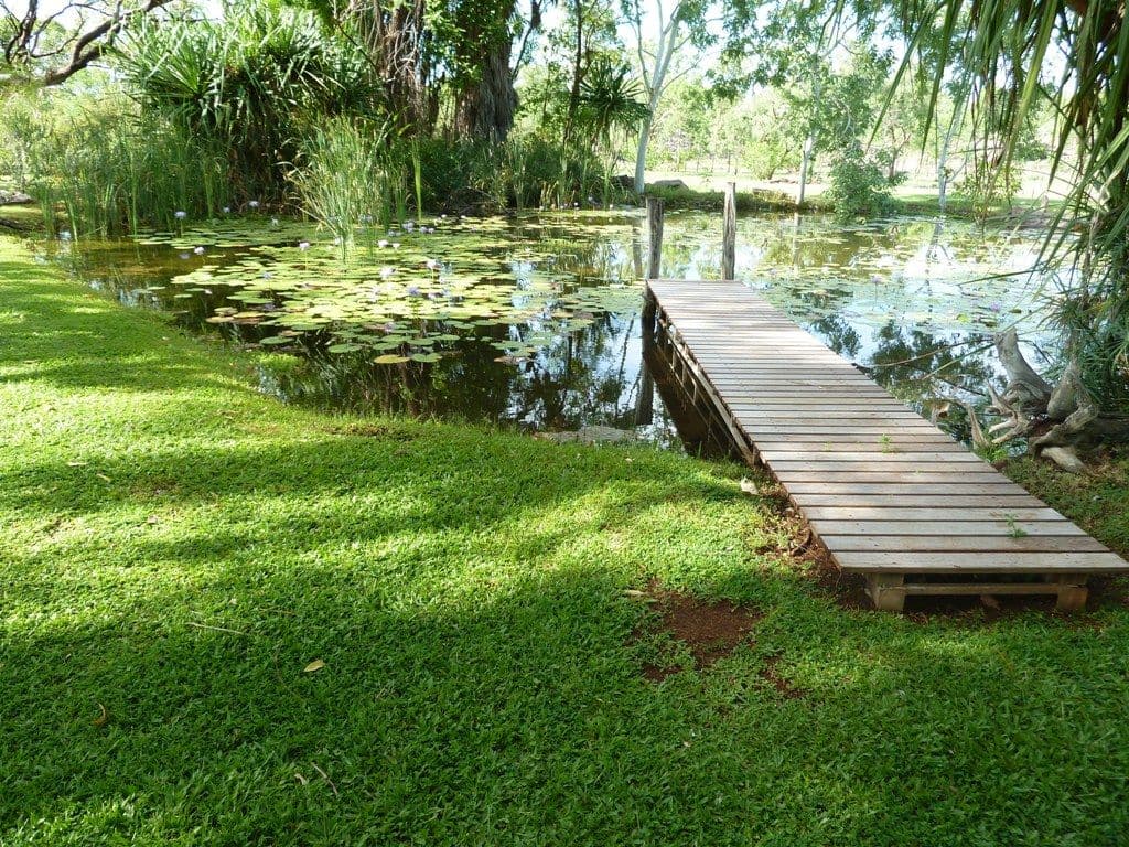 5 Usher Road, KATHERINE NT 0850, Katherine - Thumbnail 5