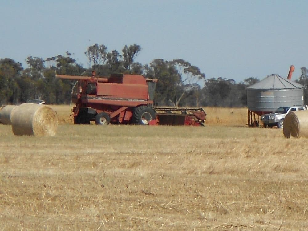 SECTION 197 Cnr Frances and Wiese Road, BORDERTOWN SA 5268, Bordertown - Thumbnail 4
