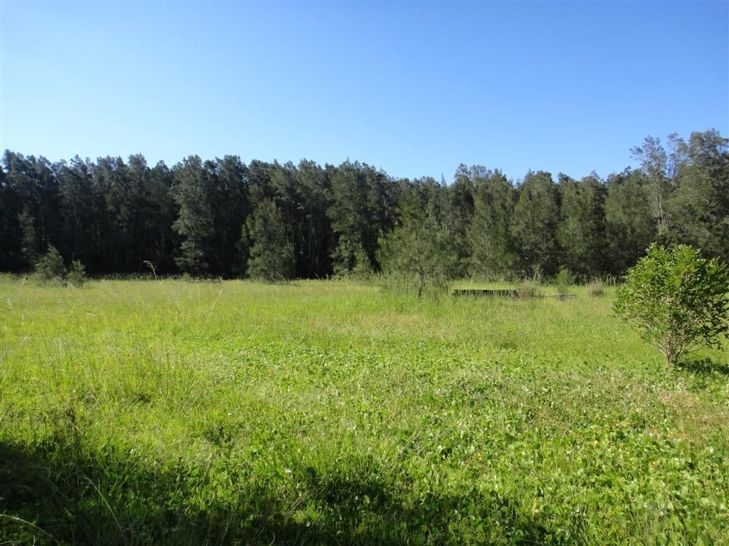 3908 Nelson Bay Road, BOBS FARM NSW 2316, Bobs Farm - Thumbnail 8