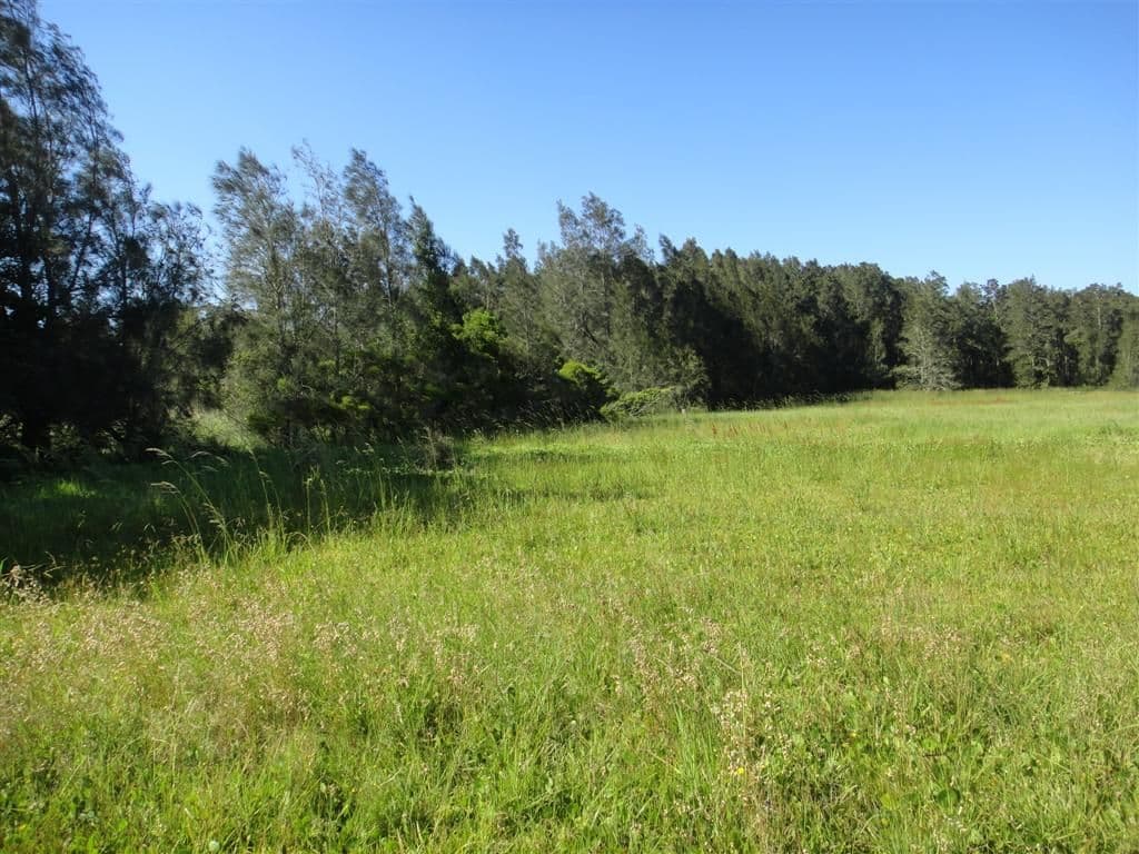 3908 Nelson Bay Road, BOBS FARM NSW 2316, Bobs Farm - Thumbnail 5