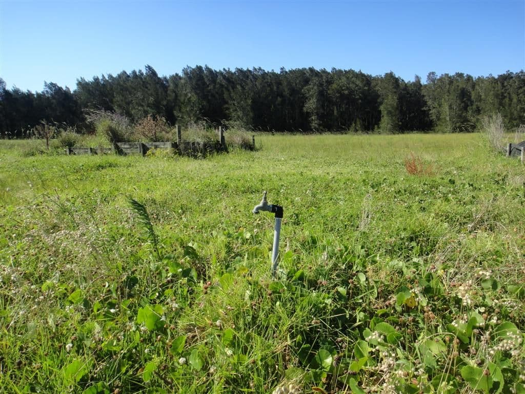 3908 Nelson Bay Road, BOBS FARM NSW 2316, Bobs Farm - Thumbnail 2