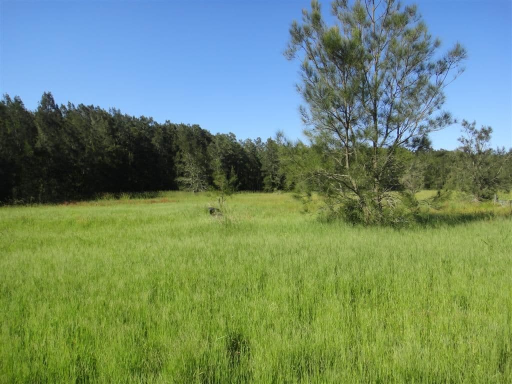 3908 Nelson Bay Road, BOBS FARM NSW 2316, Bobs Farm - Thumbnail 6