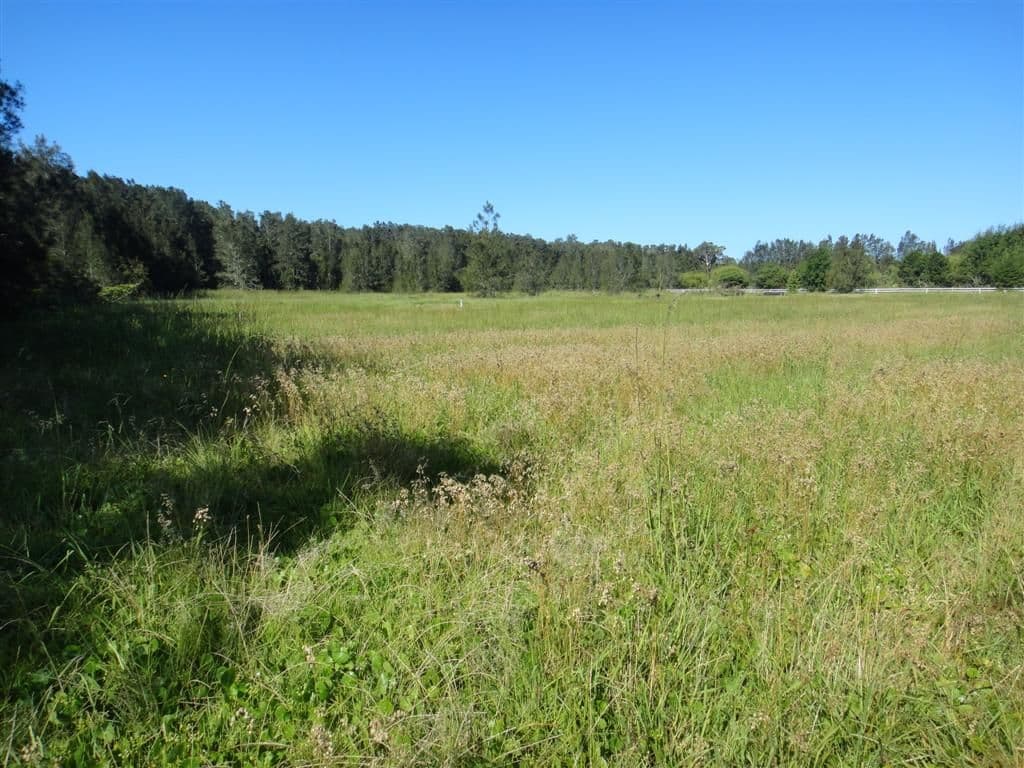 3908 Nelson Bay Road, BOBS FARM NSW 2316, Bobs Farm - Thumbnail 3