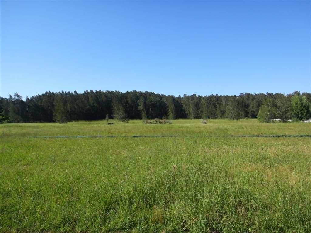 3908 Nelson Bay Road, BOBS FARM NSW 2316, Bobs Farm - Image 1