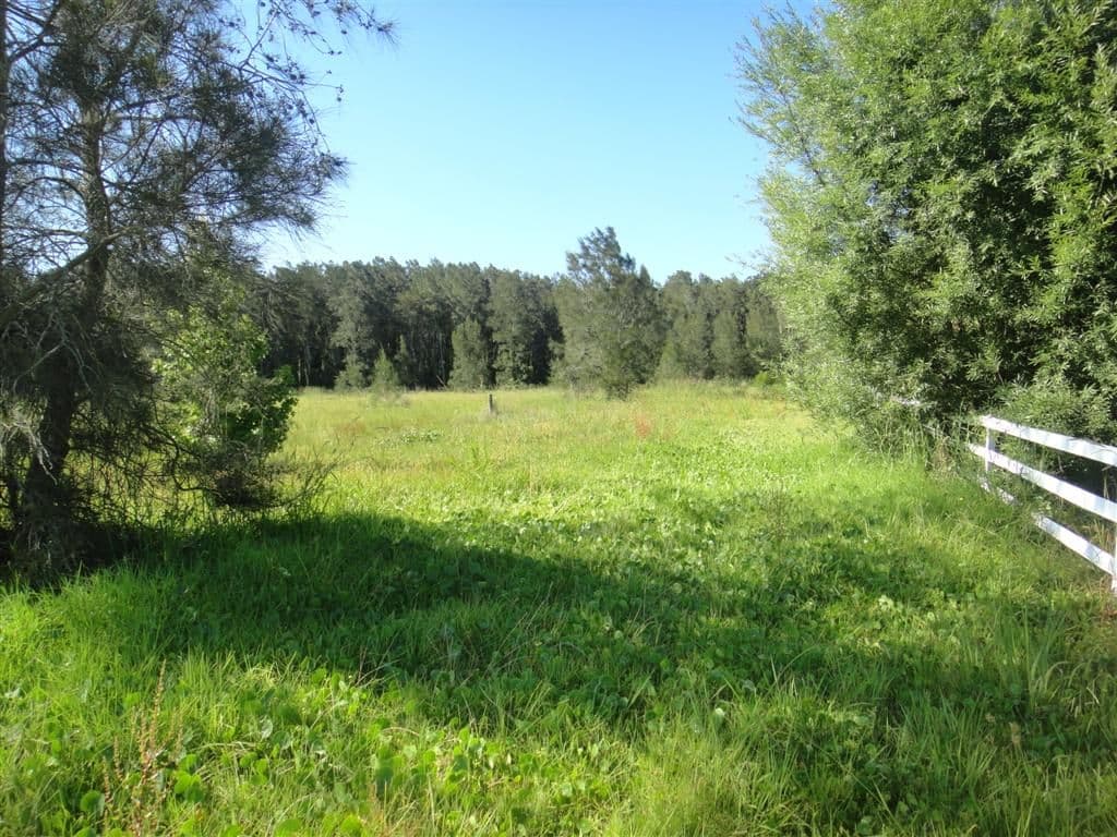 3908 Nelson Bay Road, BOBS FARM NSW 2316, Bobs Farm - Thumbnail 4