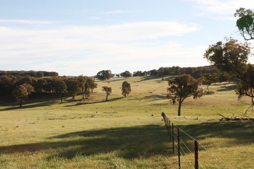 2567 Rugby Road, BOOROWA NSW 2586, Boorowa - Thumbnail 4
