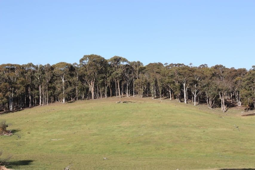 2567 Rugby Road, BOOROWA NSW 2586, Boorowa - Thumbnail 5