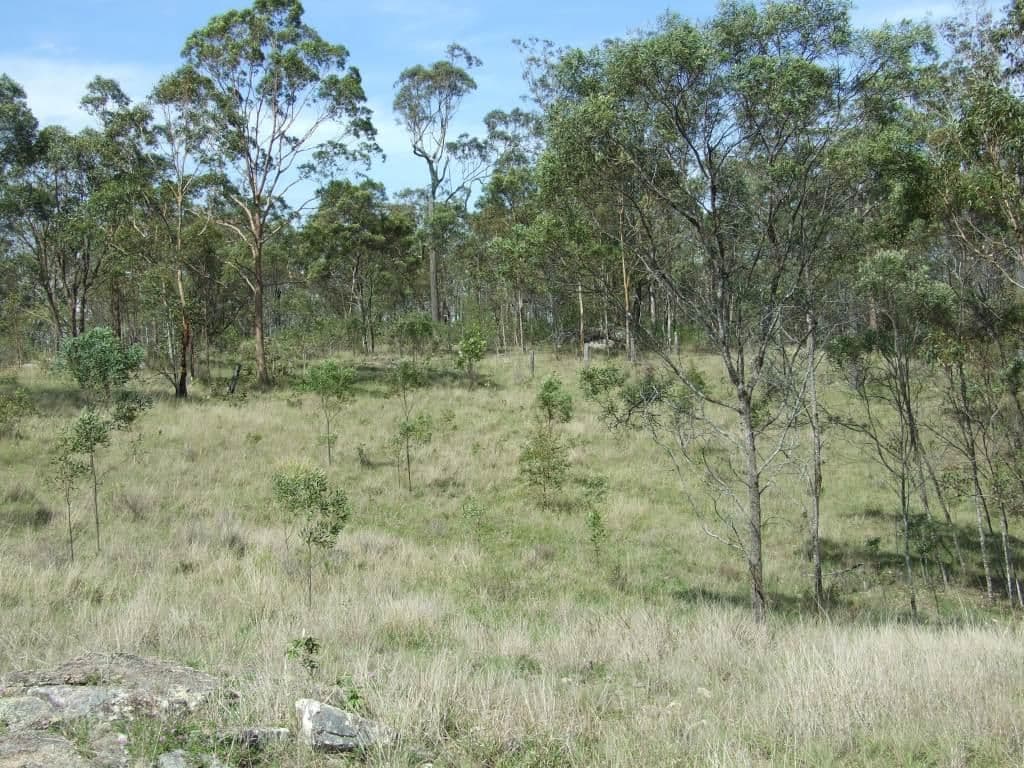 L108 Dahl Road, CROWS NEST QLD 4355, Crows Nest - Thumbnail 4