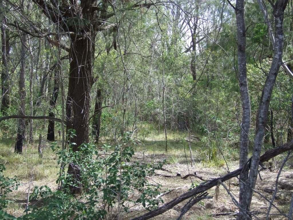 L108 Dahl Road, CROWS NEST QLD 4355, Crows Nest - Thumbnail 7