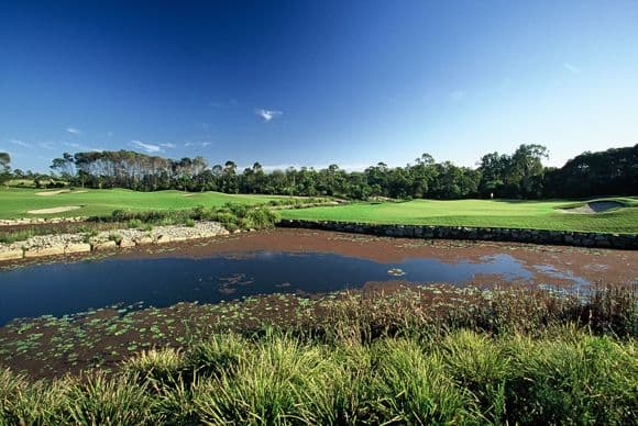 8 Paterson Street, NORTH LAKES QLD 4509, North Lakes - Thumbnail 2