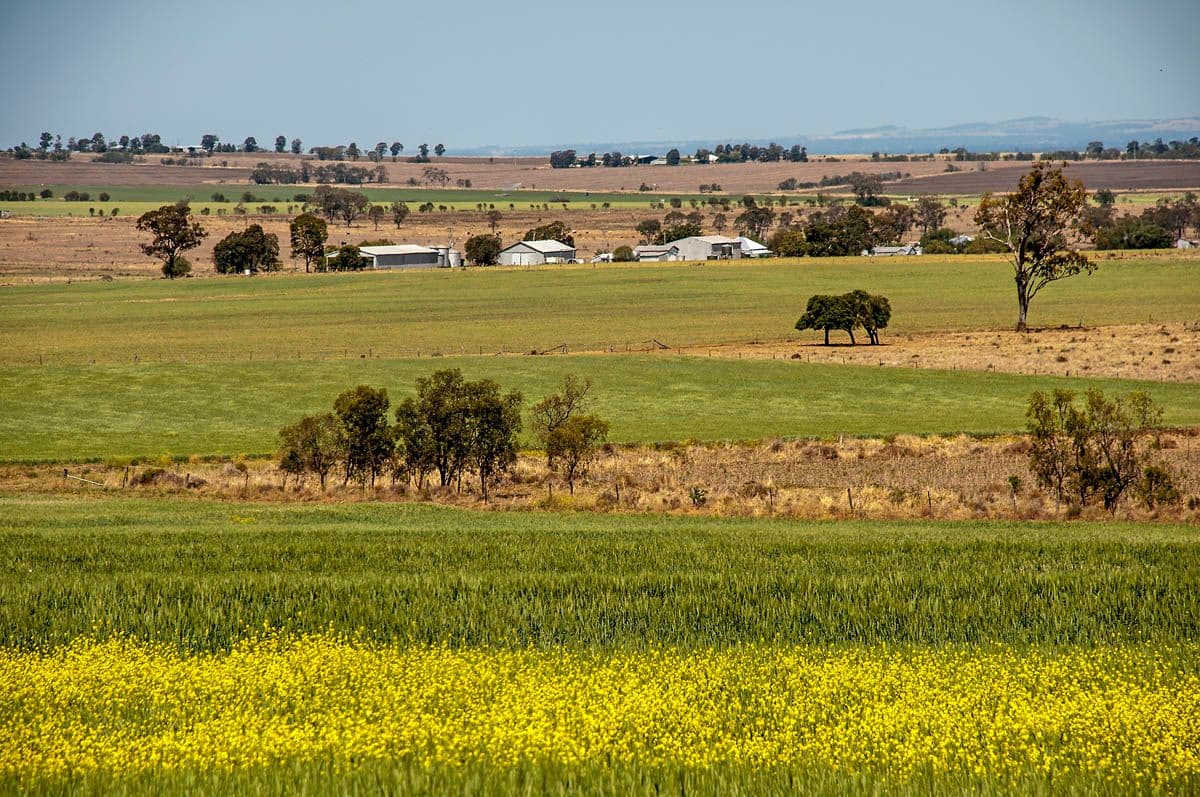"Bevell-Dean" Lot 1 Millmerran Road, YARRANLEA QLD 4356, Yarranlea - Thumbnail 3